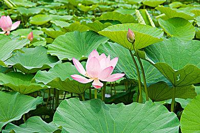 国产叙事解谜游戏《6栋301房》 将于9月21日发售